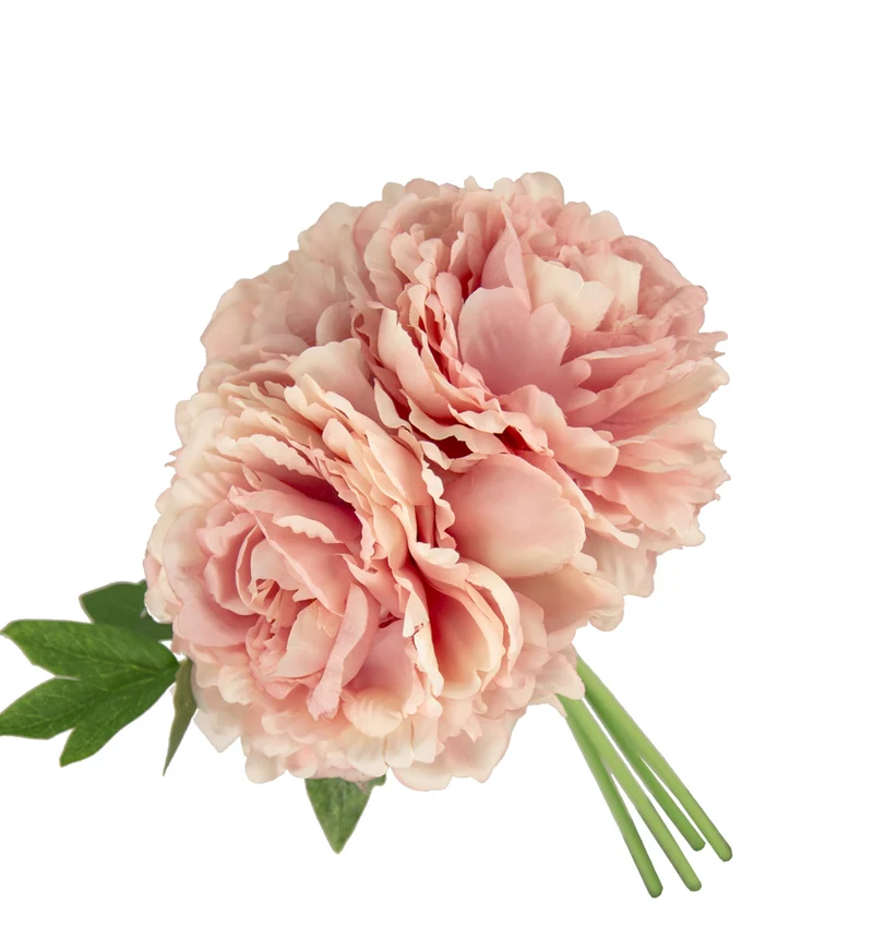 BUSH 3 PEONIA SHABBY 5 COL 12/48