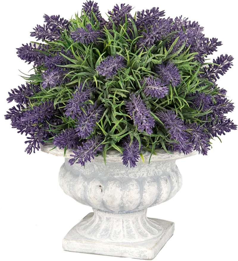 PIANTA LAVANDA CLASSIC POT 29CM