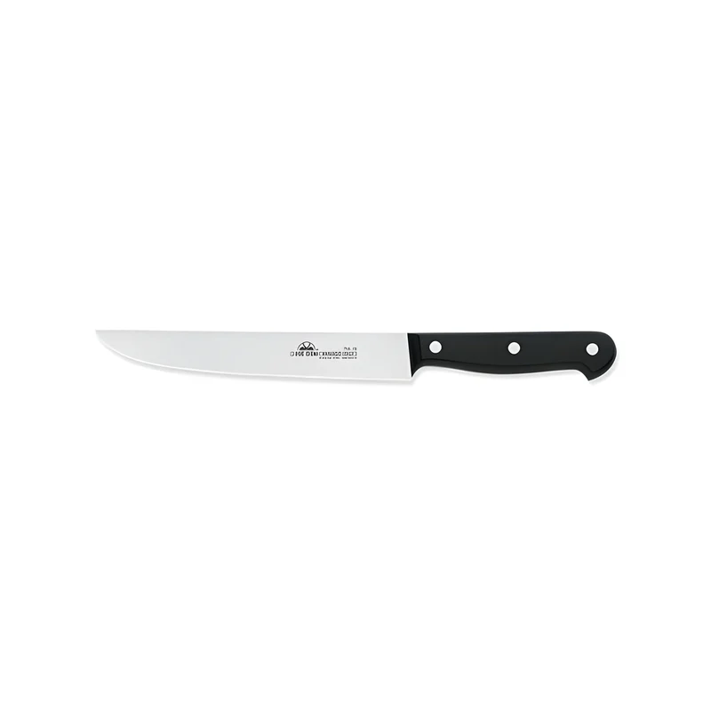 Due Cigni coltello da arrosto 19 cm. 2C 758/19