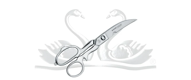 Due Cigni forbice da cucina speciale smontabile inox 2C 974/22