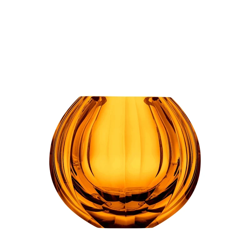 Moser Vaso Beauty