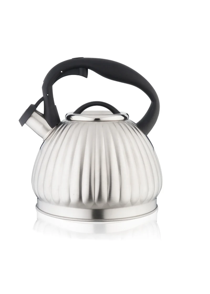 Bollitore in Acciaio Inox 3 litri