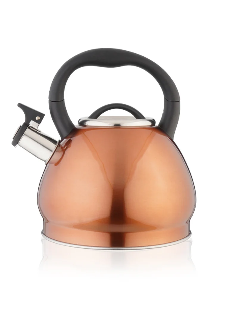 Bollitore in Acciaio Inox