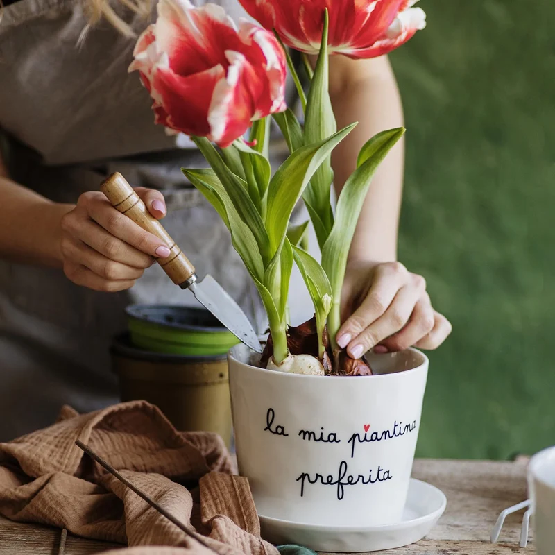Vaso "La mia piantina preferita", con sottovaso