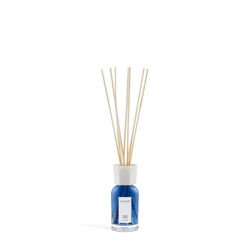 Diffusore A Bastoncini - Cold Water 100 ML