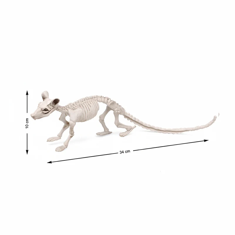 Atosa Scheletro 34X10 Cm