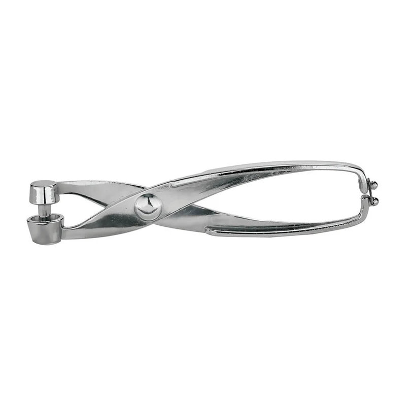 Snocciolatore inox cm.17 sambonet paderno