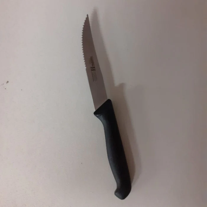 Coltello bistecca manico nylon cm.11 punta acuta