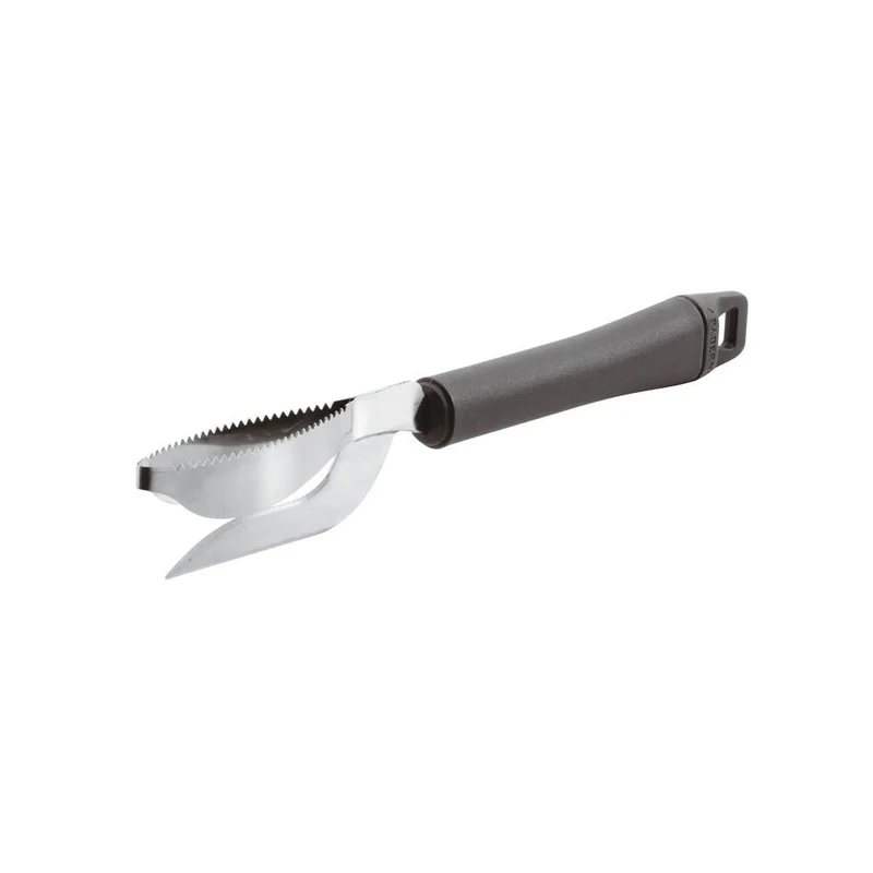 Coltello squamapesce