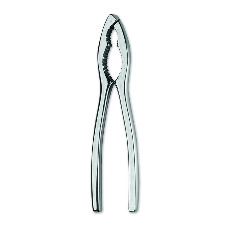 Rompinoci E Crostacei in Acciaio Inox