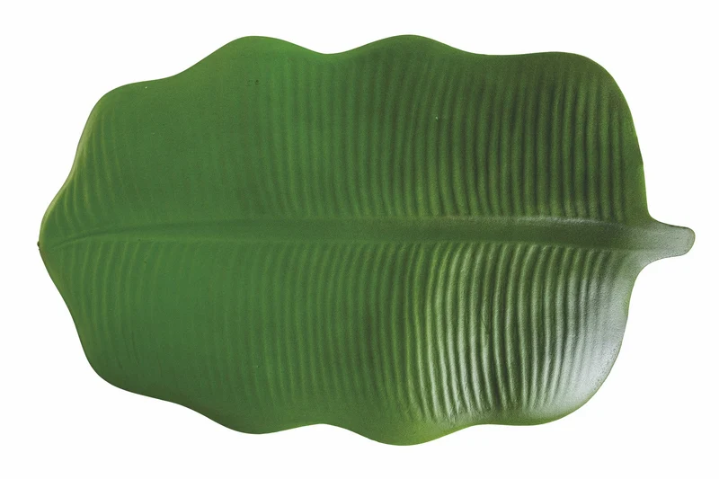 Set 6 Tovagliette Foglia 38 cm Villa d'Este Home Tivoli Jungle