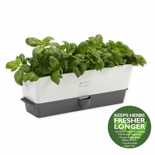Vaso autoirrigante per erbe aromatiche - 3 pz.
