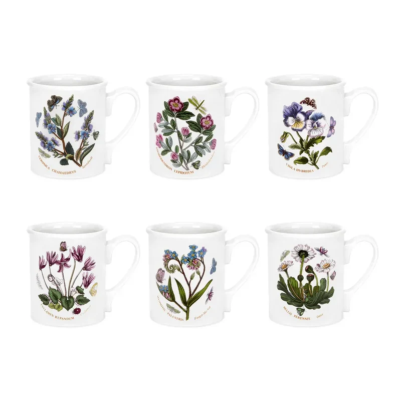 Portmeirion Botanic Garden Set 6 Mug Colazione